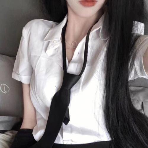 回到白垩纪